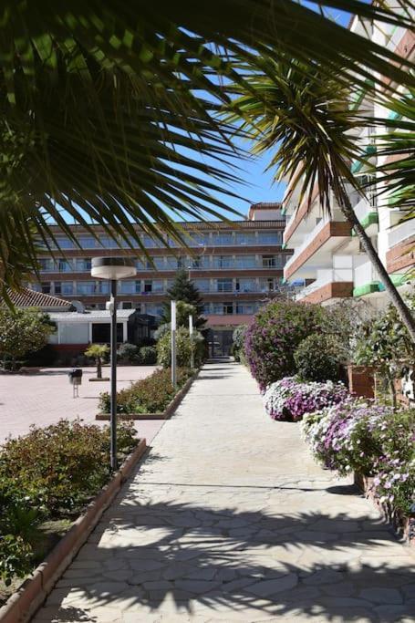 Alegre Apto Con Piscina, A 300M De La Playa. Blanes Eksteriør bilde