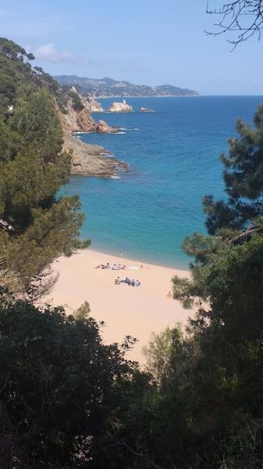 Alegre Apto Con Piscina, A 300M De La Playa. Blanes Eksteriør bilde