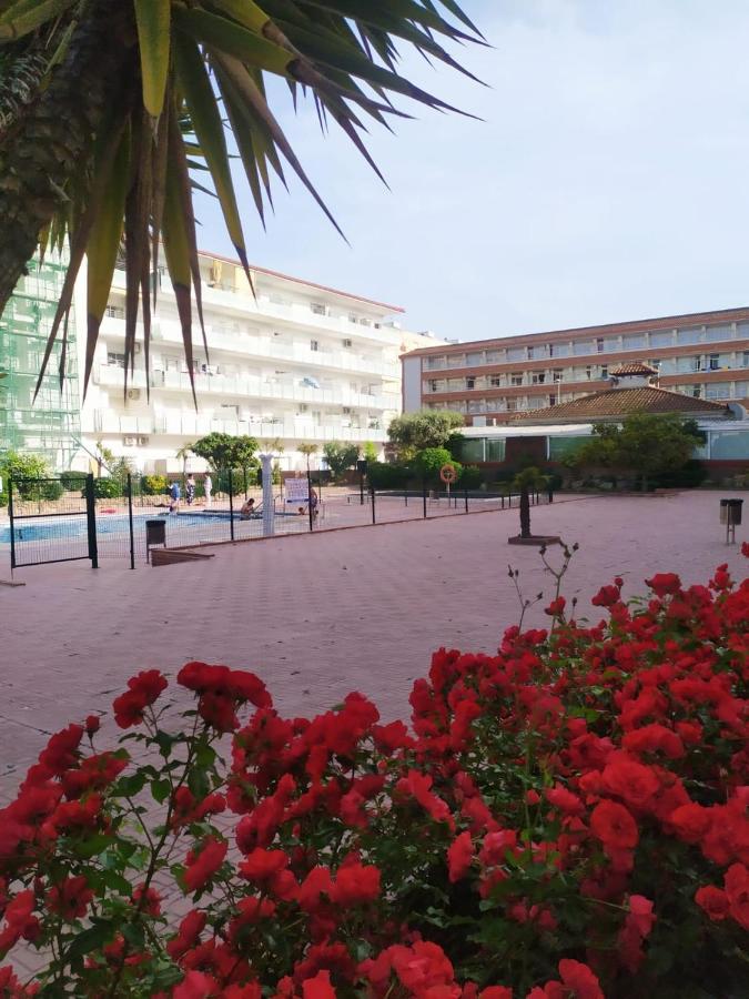Alegre Apto Con Piscina, A 300M De La Playa. Blanes Eksteriør bilde